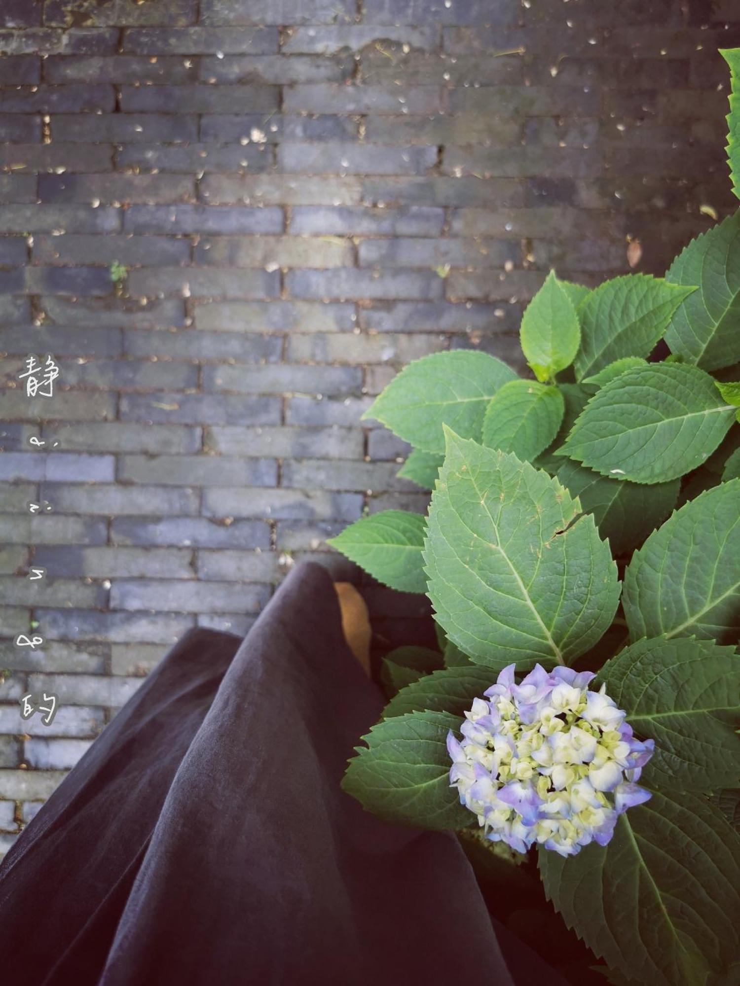 Suzhou Houlishenghuo Guesthouse Eksteriør billede